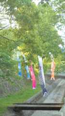 早朝散歩風景・・４月２８日_b0317721_11282966.jpg