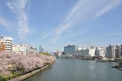 大阪天満宮の桜と桃のケーキ♪_b0143308_22230075.jpg