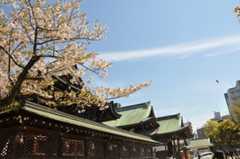 大阪天満宮の桜と桃のケーキ♪_b0143308_22233100.jpg