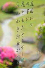 句を詠む庭_c0264464_18474290.jpg