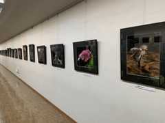 今日から写真展_e0037126_22324951.jpg