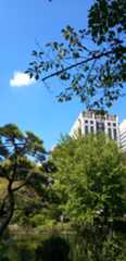 早くも10月_d0079830_21055853.jpg