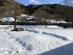 2023年2/11(sat)　３度目の正直_c0077697_18485254.jpg