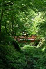 京都へ_c0047919_05285650.jpg