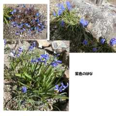 春宵灯かり_b0110029_02454729.jpg