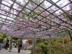 藤見の会_b0110029_15482441.jpg