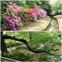清水公園の『花ファンタジア』へ(✿ꈍ。 ꈍ✿)_b0364186_12074310.jpg