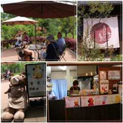 清水公園の『花ファンタジア』へ(✿ꈍ。 ꈍ✿)_b0364186_12200958.jpg