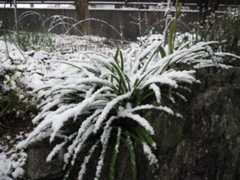 雪が降る_e0350905_19080005.jpg