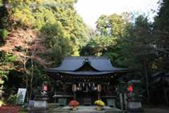 12月　桜井市　等彌神社（とみじんじゃ）_f0405053_00353100.jpg