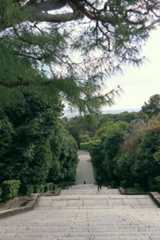 石段_d0413440_22485011.jpg