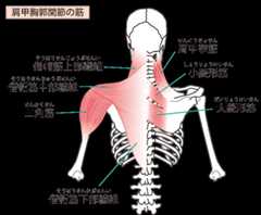 90分ヨガクラス in 横浜 ～肩こり、背骨の柔軟性、脚のこわばり解消～_c0125114_20383400.png