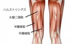 90分ヨガクラス in 横浜 ～肩こり、背骨の柔軟性、脚のこわばり解消～_c0125114_20383476.jpg