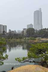 小雨の梅園　＠2025 広島_c0024729_15353820.jpg