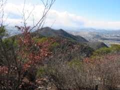 下山する　八木山 (296M)   最終回_d0170615_10392467.jpg