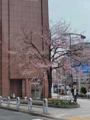 神田教室_a0398982_20185333.jpg