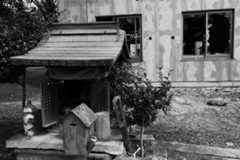 天下茶屋周辺（西成区）_e0051620_10585006.jpg