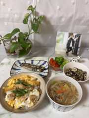 春色ペペロンチーノ　親子丼　ANAビジネスクラスの食器_b0417696_08311758.jpeg