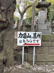 池上本門寺　満開の桜がはらはらと_b0417696_18311248.jpeg