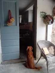 フィレンツェ田舎生活便り２