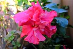 空とグルメと温泉と