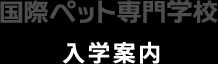 国際ペット専門学校 入学案内