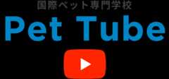 国際ペット専門学校 PetTube