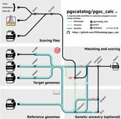 `pgsc_calc` workflow diagram