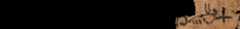 photo of the hieratic text