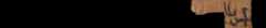 photo of the hieratic text
