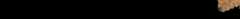 photo of the hieratic text