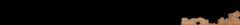 photo of the hieratic text