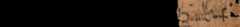 photo of the hieratic text