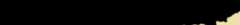 facsimile of the hieratic text