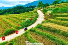 Check-in cung đường chữ S giữa 'biển vàng' gây sốt mạng xã hội