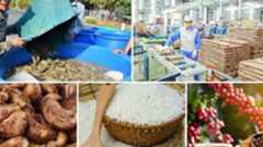 Hoa Kỳ sẽ duy trì mức thuế đối ứng 20% đối với hàng hóa Việt Nam