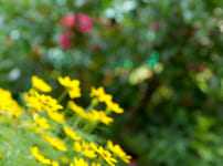 どこを撮る？ ‐動きを出す、望遠で切り取る‐ [構図のヒント]