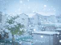 雪をキレイに撮る