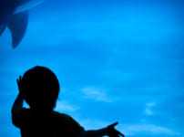 人物はシルエットで