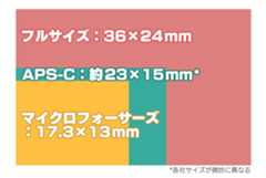 イメージセンサーのサイズ違い
