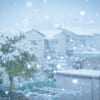 雪をキレイに撮る