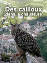 Des cailloux dans la chaussure