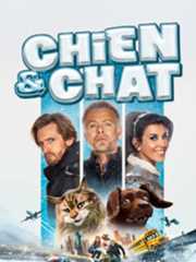 Chien et Chat