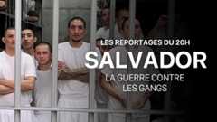 Les reportages du 20h - Salvador : la guerre contre les gangs