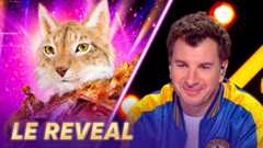 Mask singer 2025 - Qui se cache sous le masque du Lynx ?