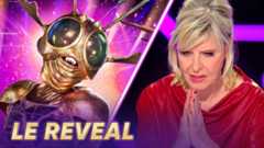 Mask singer 2025 - Qui se cache sous le masque du Scarabée ?