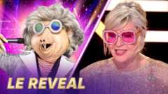 Mask singer 2025 - Qui se cache sous le masque de La Taupe ?