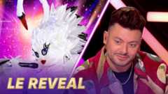 Mask singer 2025 - Qui se cache sous le Cygne ?