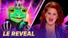 Mask singer 2025 - Qui se cache sous la Grenouille ?
