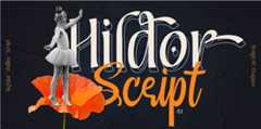 hildor-script